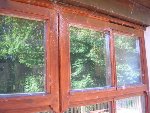 Wooden windows covered in cobwebs
